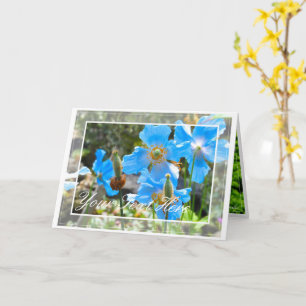 Himalaya blauer Mohn [Grußkarte] ド Karte