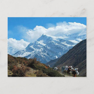 Himalaya Mount Everest India Nepal Travel Summer Postkarte