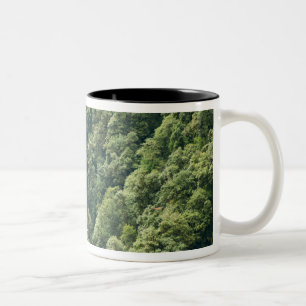 Himalaya-Wald im Mangdue-Tal, Bhutan Zweifarbige Tasse