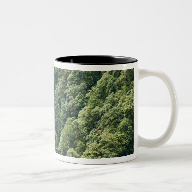 Himalaya-Wald im Mangdue-Tal, Bhutan Zweifarbige Tasse (Rechts)
