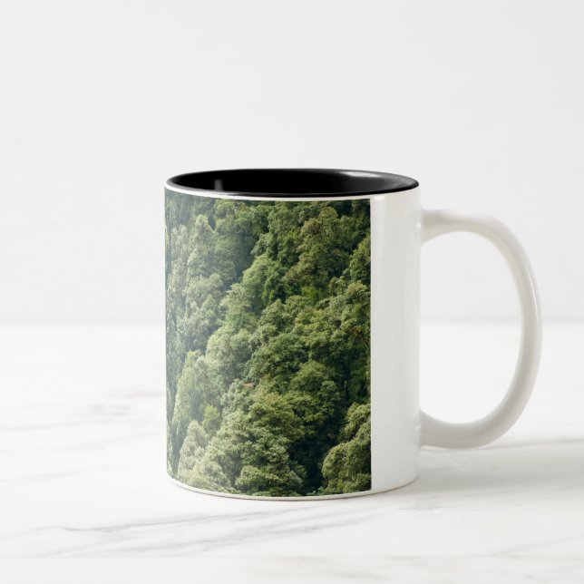 Himalaya-Wald im Mangdue-Tal, Bhutan Zweifarbige Tasse (Rechts)