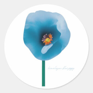 Himalayan Blue Poppy Blume Sticker