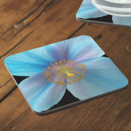 Himalayan Blue Poppy Floral Getränkeuntersetzer