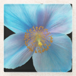 Himalayan Blue Poppy Floral Glasuntersetzer