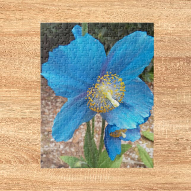 Himalayan Blue Poppy Floral Puzzle (In Situ)