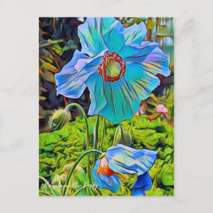 Himalayan Blue Poppy [Postcard] Postkarte