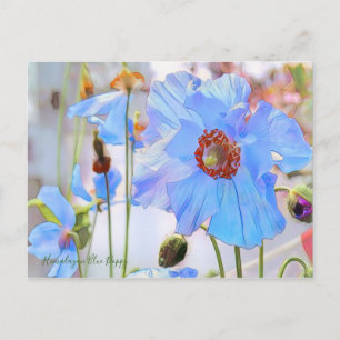 Himalayan Blue Poppy [Postcard] Postkarte