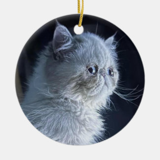 Himalayan Cat Keramik Ornament