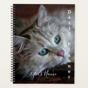 Himalayan Cat - Tagesplaner- HAMbWG Planer