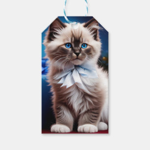 Himalayan Kitten Present blue bow Geschenkanhänger
