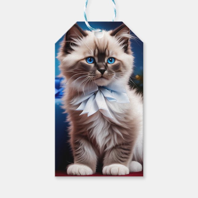 Himalayan Kitten Present blue bow Geschenkanhänger (Vorderseite)