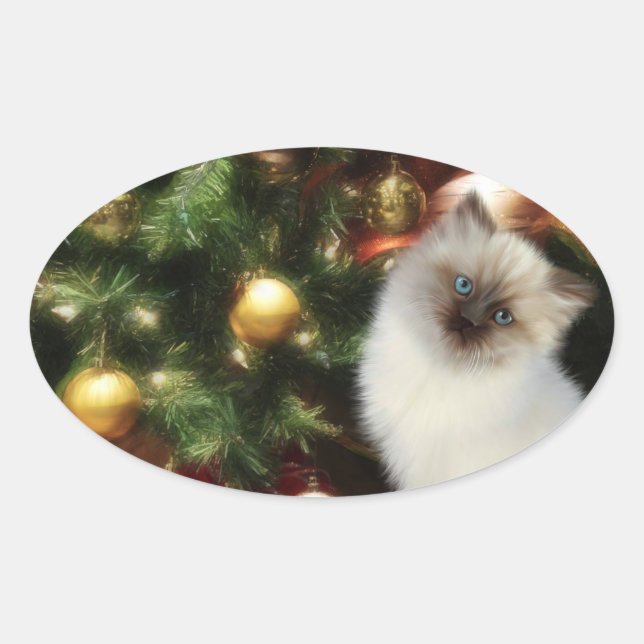 Himalayan Kitten Weihnachten Ovaler Aufkleber (Vorderseite)