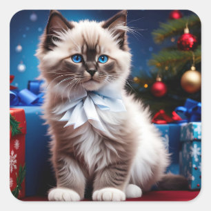 Himalayan Kitten Weihnachtsgeschenke Quadratischer Aufkleber
