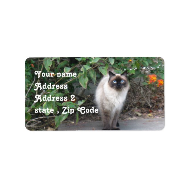 Himalayan-Mix-Katze Adressaufkleber (Vorne)