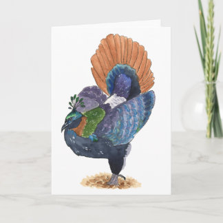 Himalayan Monal-Fasan-Grußkarte | Farbenfroh Karte