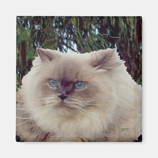 Himalayan Persian Cat Magnet (Vorne)