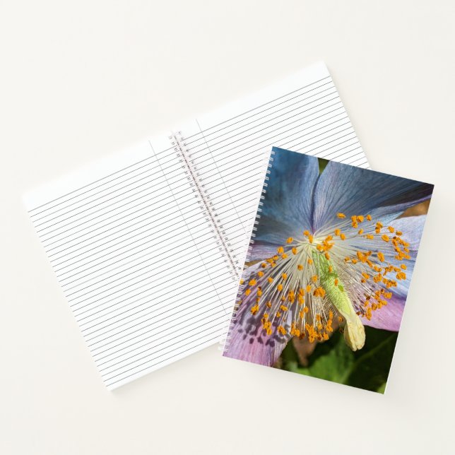 Himalayanische Blaue Mohnblüte Floral Notizbuch (Innenseite)