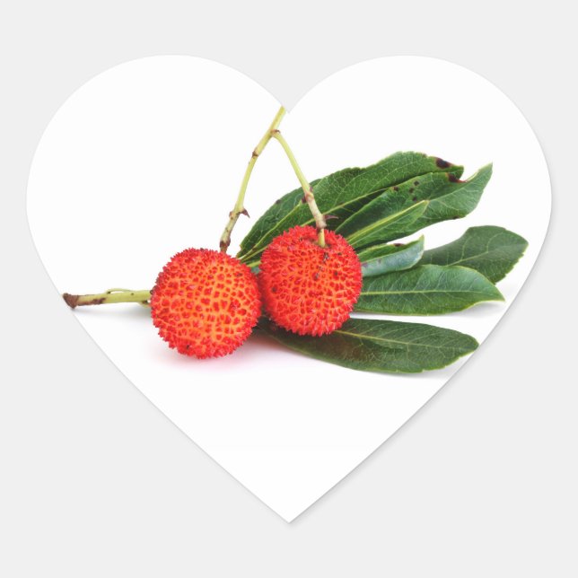 Himbeere Herz-Aufkleber (Vorderseite)