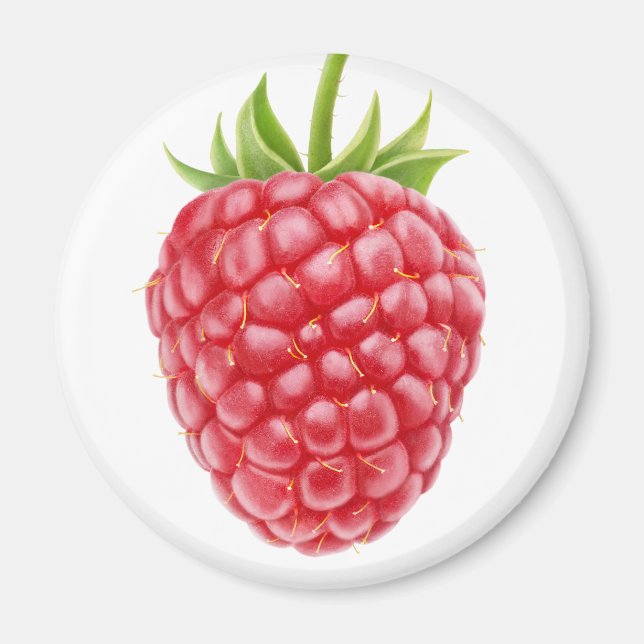 Himbeere Magnet (Vorne)