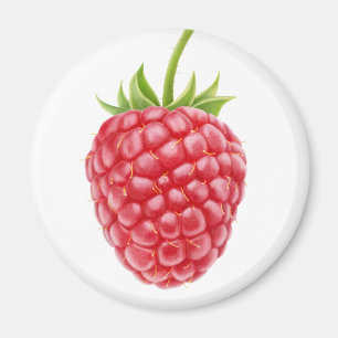 Himbeere Magnet