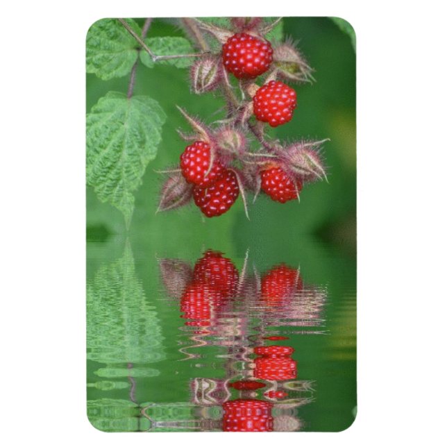 Himbeere Reflektionen Magnet (Vertikal)