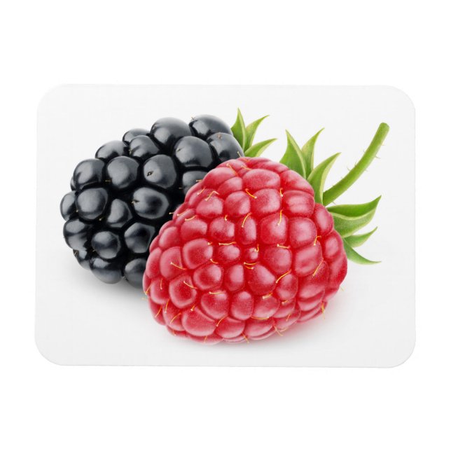 Himbeere und BlackBerry Magnet (Horizontal)