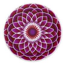 Himbeere und Lila Dahlia