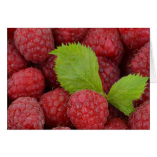 Himbeeren