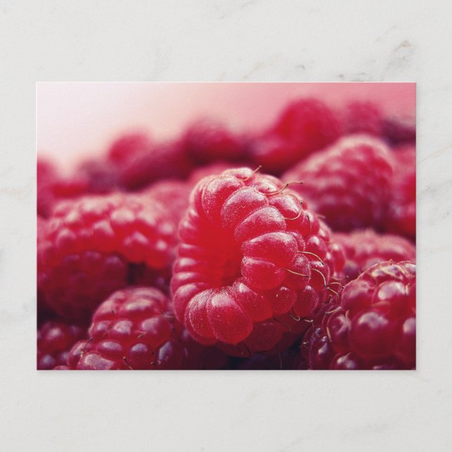 Himbeeren 6 postkarte (Vorderseite)
