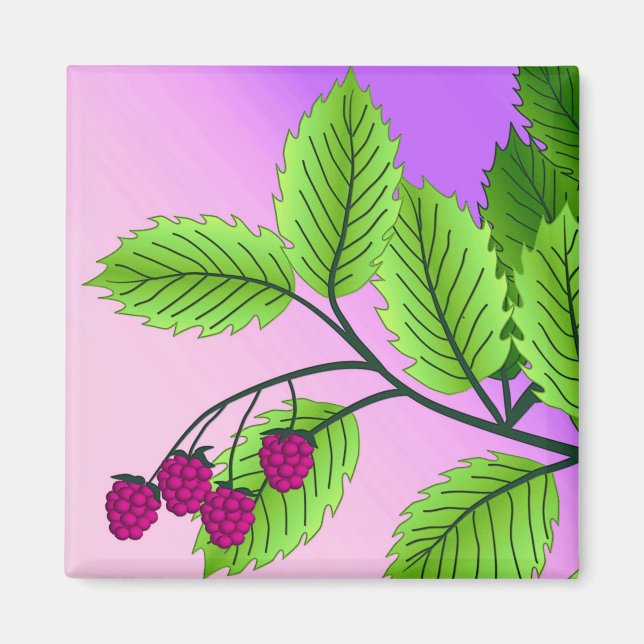 Himbeeren auf einem Zweig Magnet (Vorne)