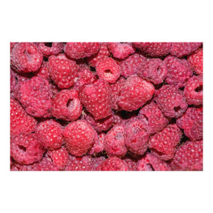 Himbeeren Fotodruck
