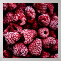 Himbeeren Fresh Red