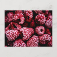 Himbeeren Fresh Red