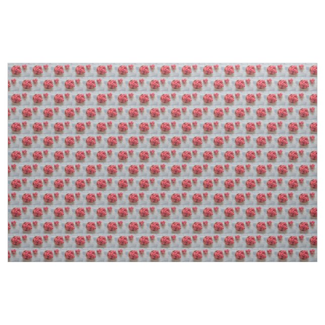 Himbeeren, frisch in einer Schüssel Stoff (Yard (91,4 cm))