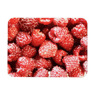 "Himbeeren Früchte" Niedliches Foto. Jetzt kaufen Magnet