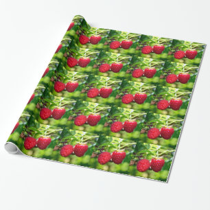 Himbeeren Geschenkpapier