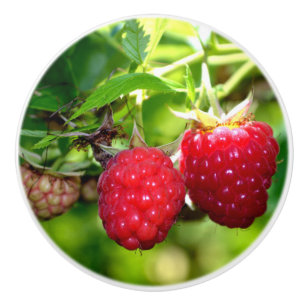 Himbeeren Keramikknauf