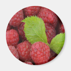 Himbeeren Magnet