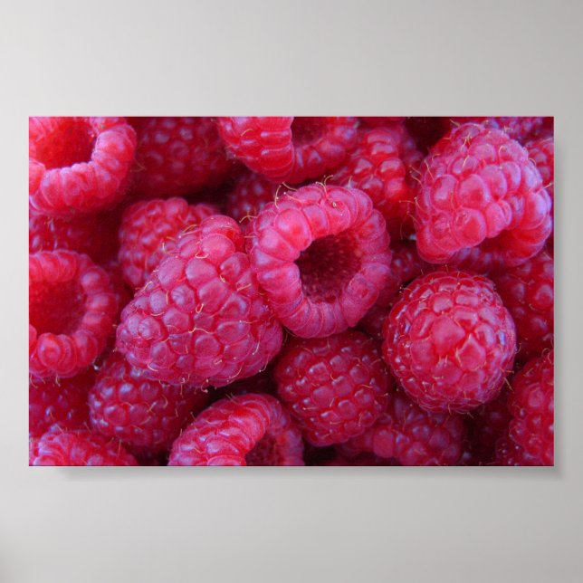 Himbeeren Poster (Vorne)