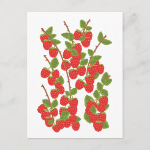 Himbeerfrucht Postkarte
