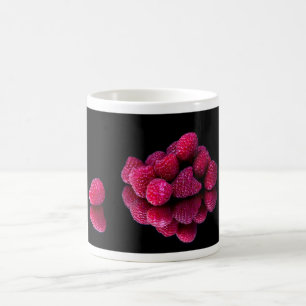 Himbeerleben Kaffeetasse
