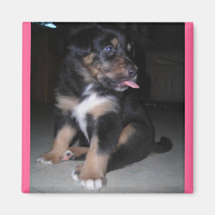 Himbeermagnet Magnet