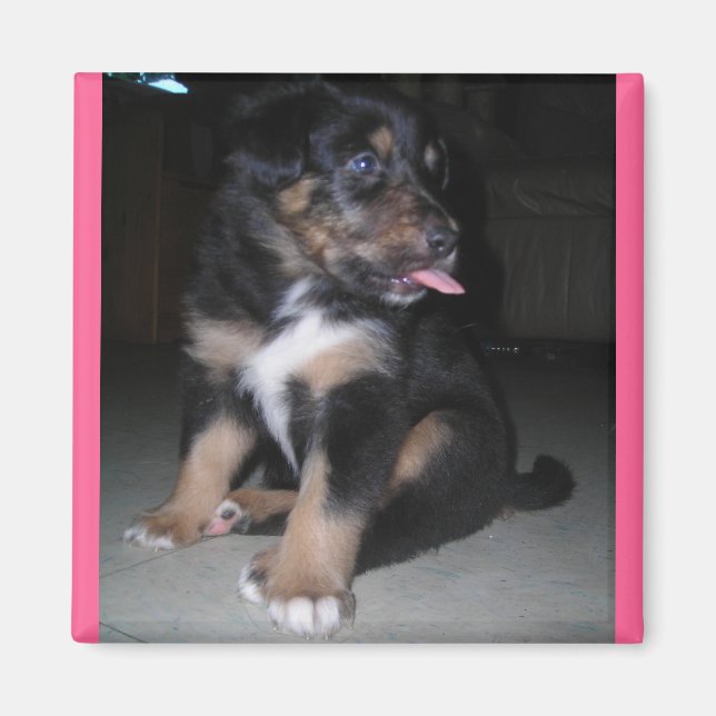 Himbeermagnet Magnet (Vorne)