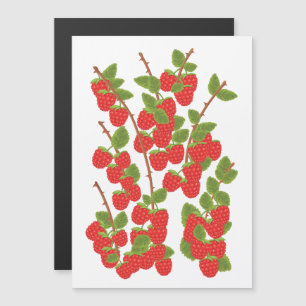 Himbeerobst Magnetkarte