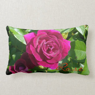Himbeersamt-Rose Lendenkissen