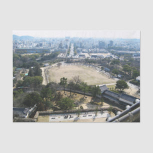 Himeji, Japan (Blick von der Burg auf der Spitze) Seidenpapier