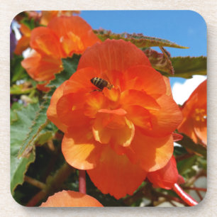 Himmel, Blume und Bienen Getränkeuntersetzer