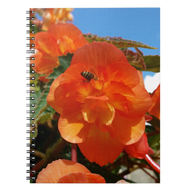 Himmel, Blume und Bienen Notizblock (Vorderseite)