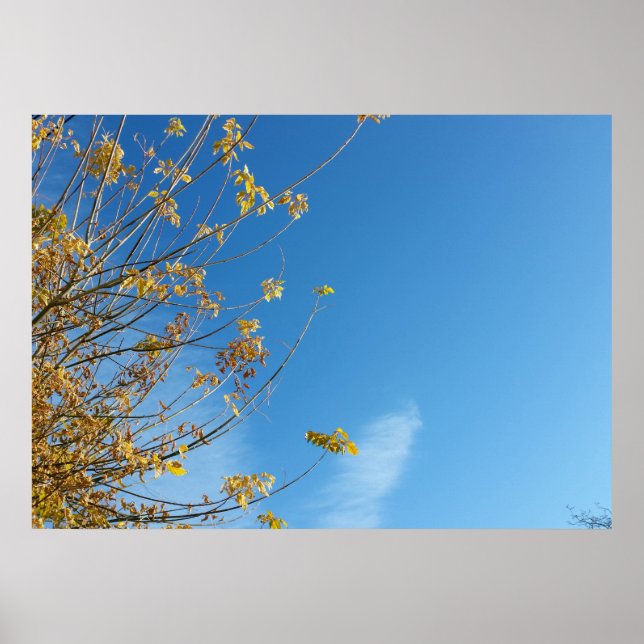 Himmel im Herbst Poster (Vorne)