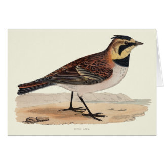 HIMMEL-LERCHEN-LEERE KARTE